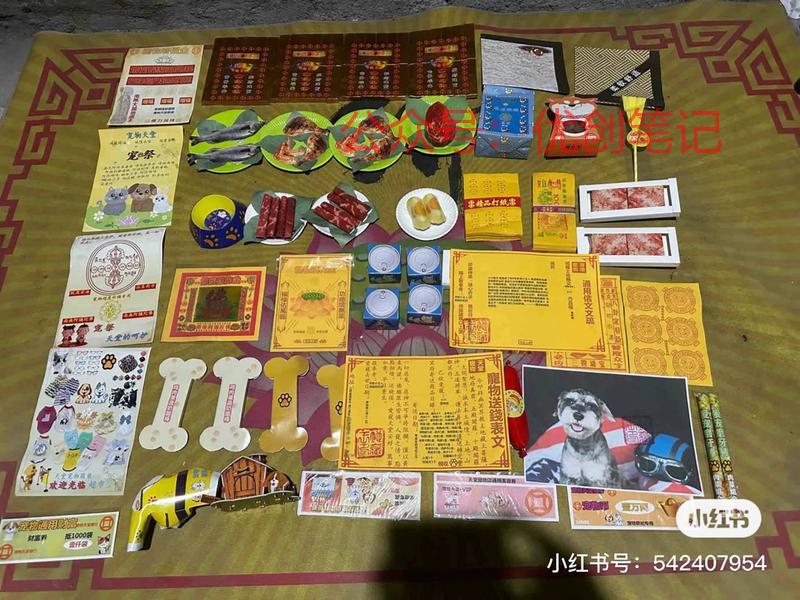 宠物祭品…有点惊人……#情报-搞钱线报📢论坛-网创交流-优创圈